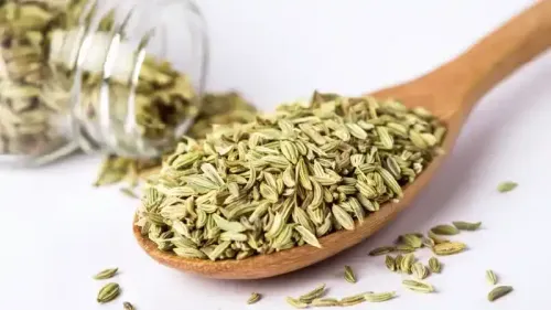 Health Benefits of Fennel - Nutrition Facts and Side Effects